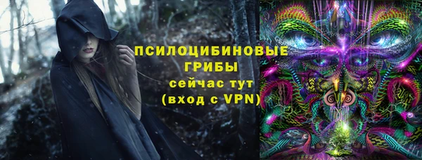 Альфа ПВП Ладушкин