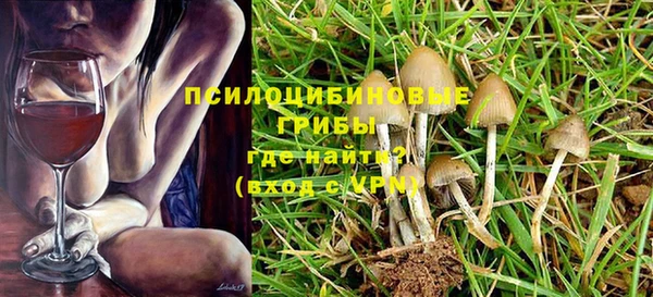 PSILOCYBIN Лабытнанги