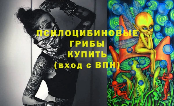 MDMA Лагань