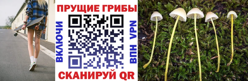 Галлюциногенные грибы ЛСД  Нерчинск 