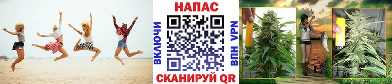 Марихуана план  Нерчинск 